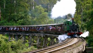 Melbourne Private Tours Dandenong Ranges Tour Puffing Billy Ride