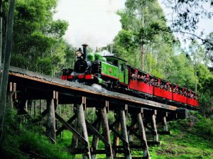 Melbourne Private Tours Dandenong Ranges Tour Puffing Billy Rainforest ride