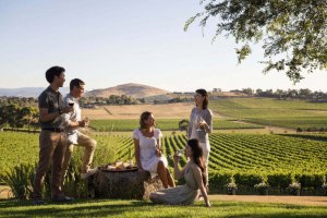 Melbourne PrivateTours Place to visit Yarra Valley Wine tasting tours