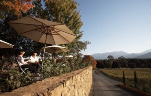 Melbourne Private Tours Discover Victoria Boyntons Feathertop winery