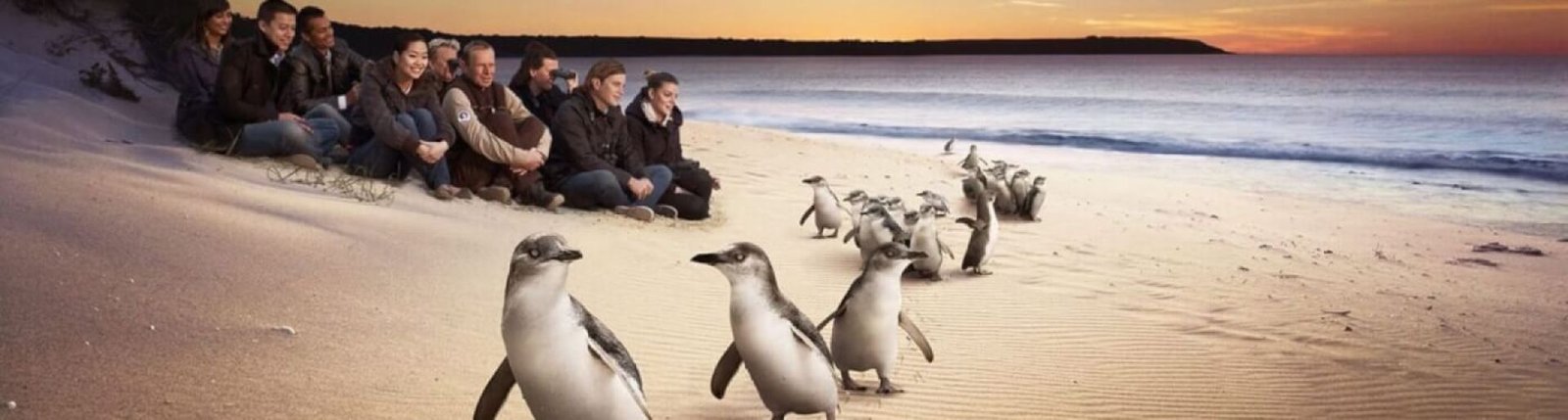Phillip Island