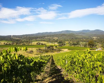 Victoria’s Wine Regions Revealed