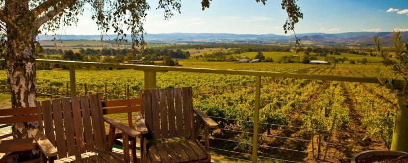 Yarra Valley and High Country – View of vineyard from the porch